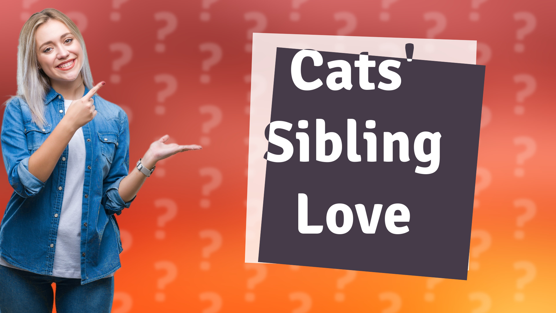 Cats' Sibling Love