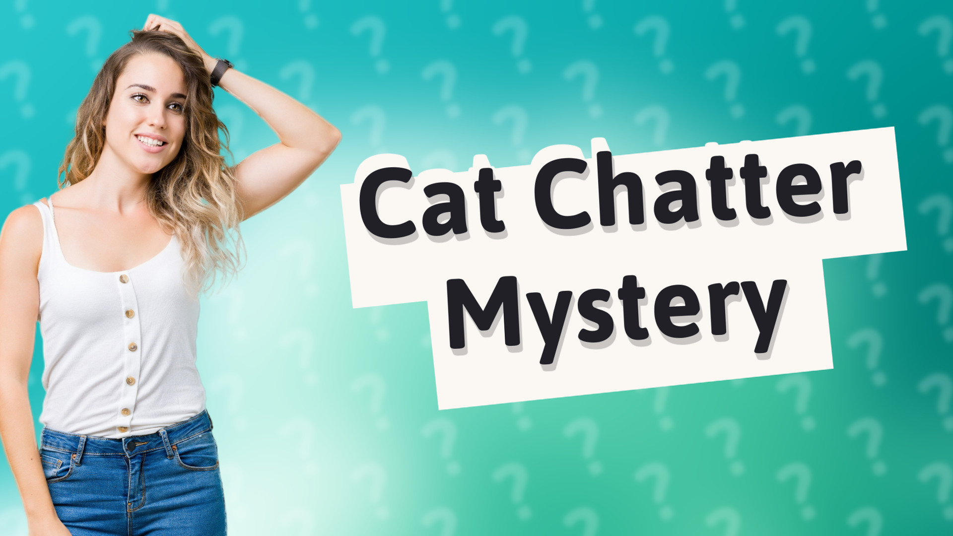 Cat Chatter Mystery