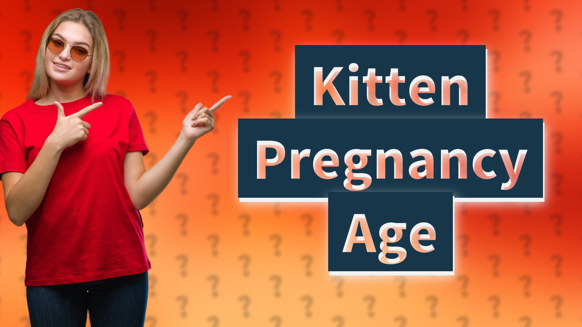 Kitten Pregnancy Age