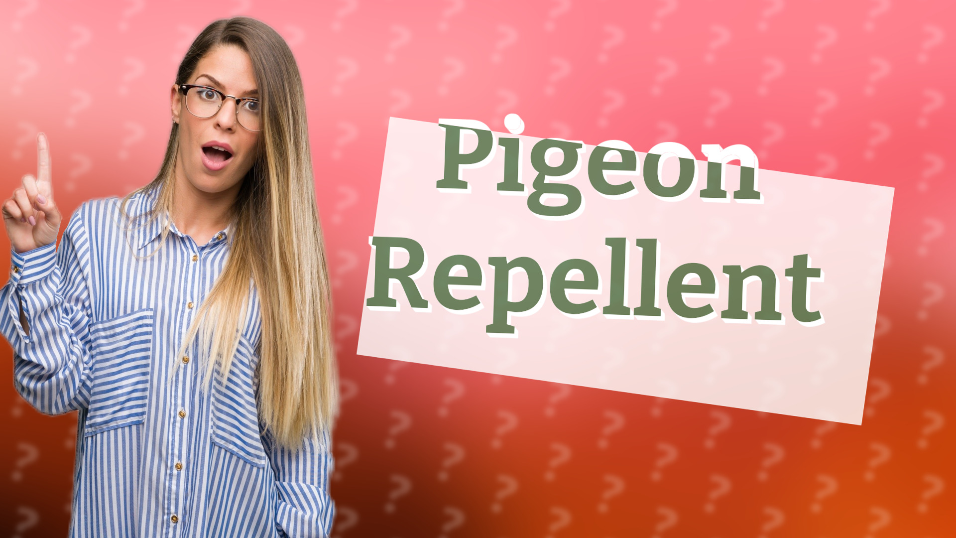 Pigeon Repellent