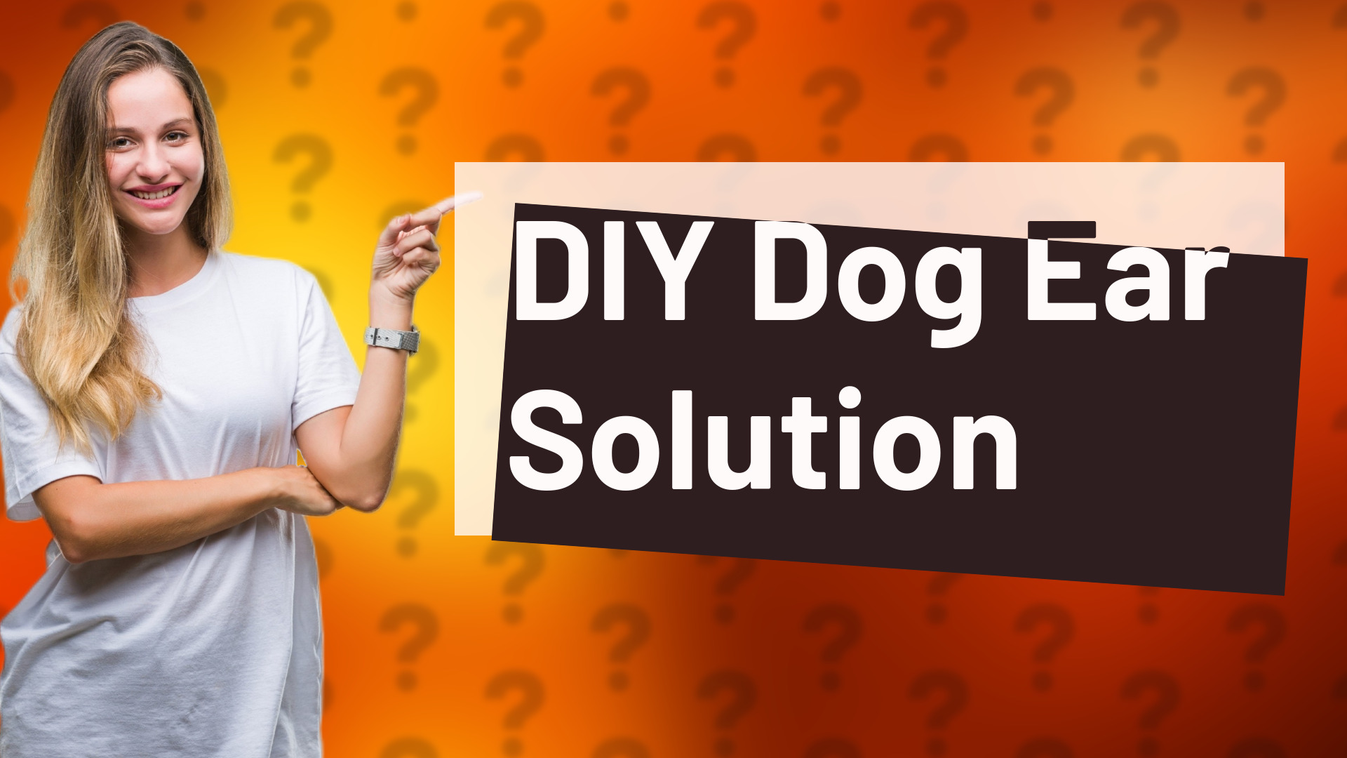 DIY Dog Ear Solution