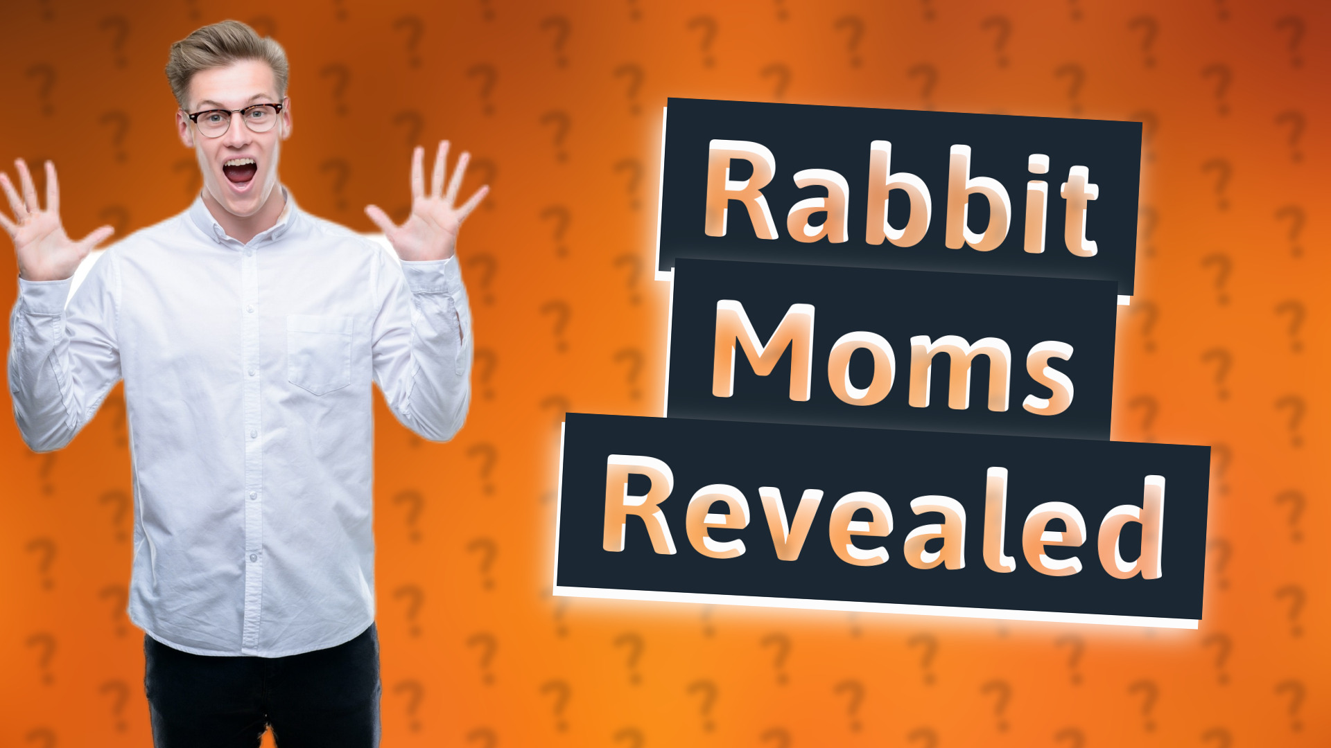 Rabbit Moms Revealed