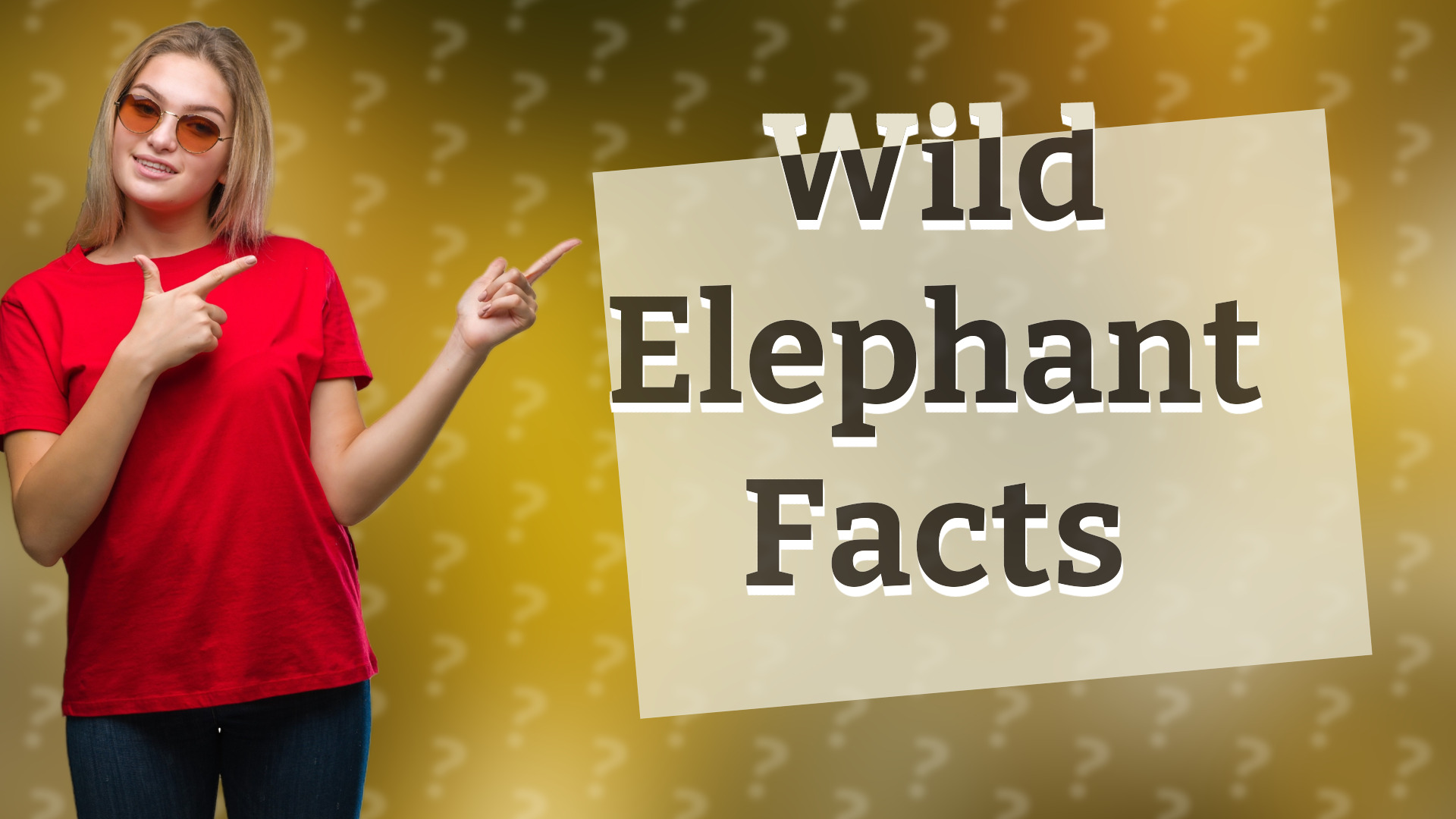 Wild Elephant Facts