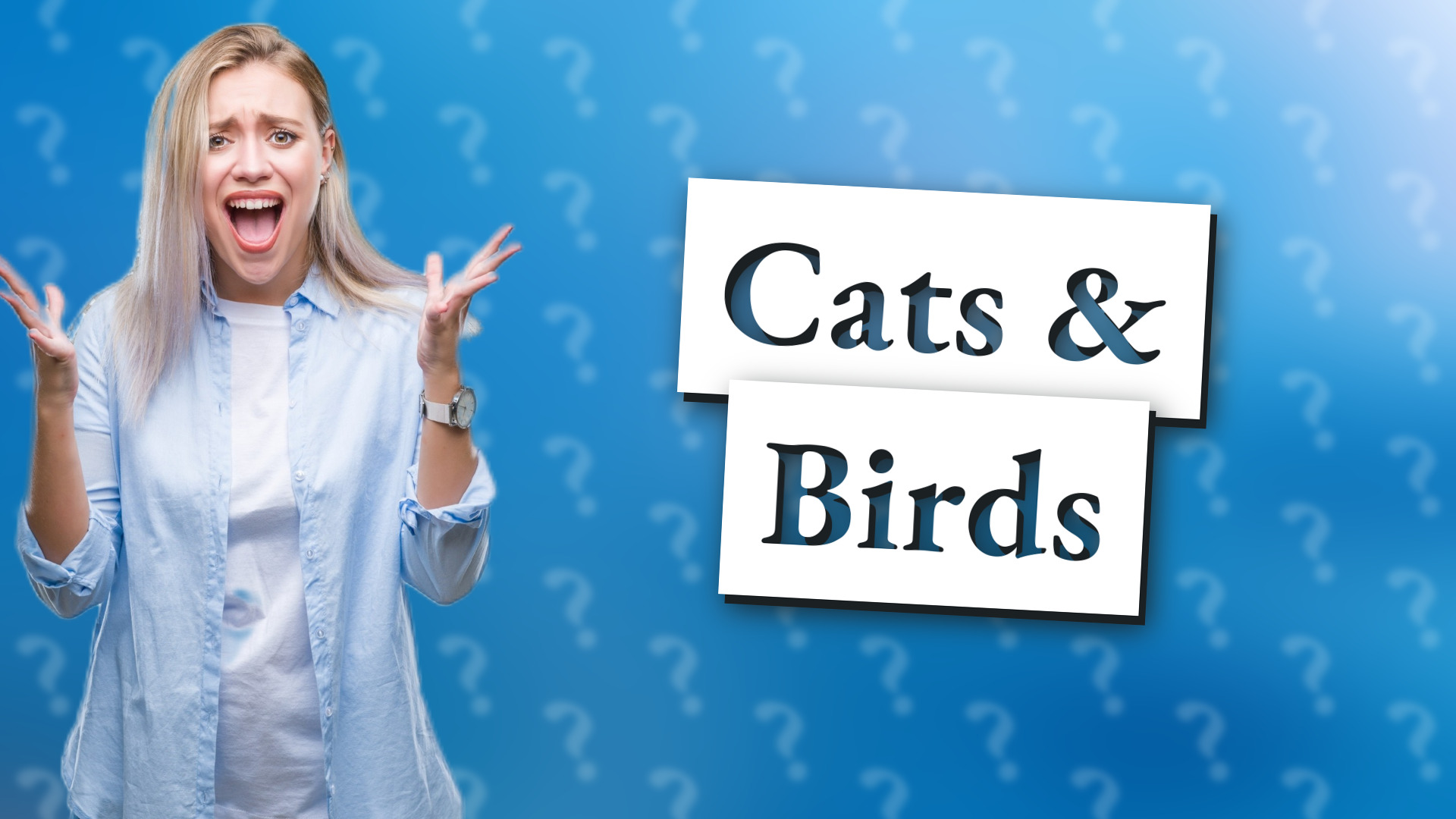 Cats & Birds