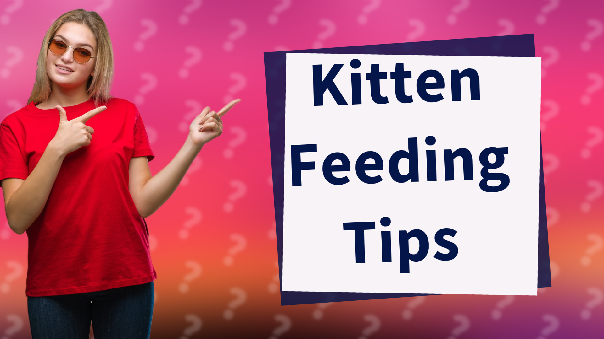 Kitten Feeding Tips
