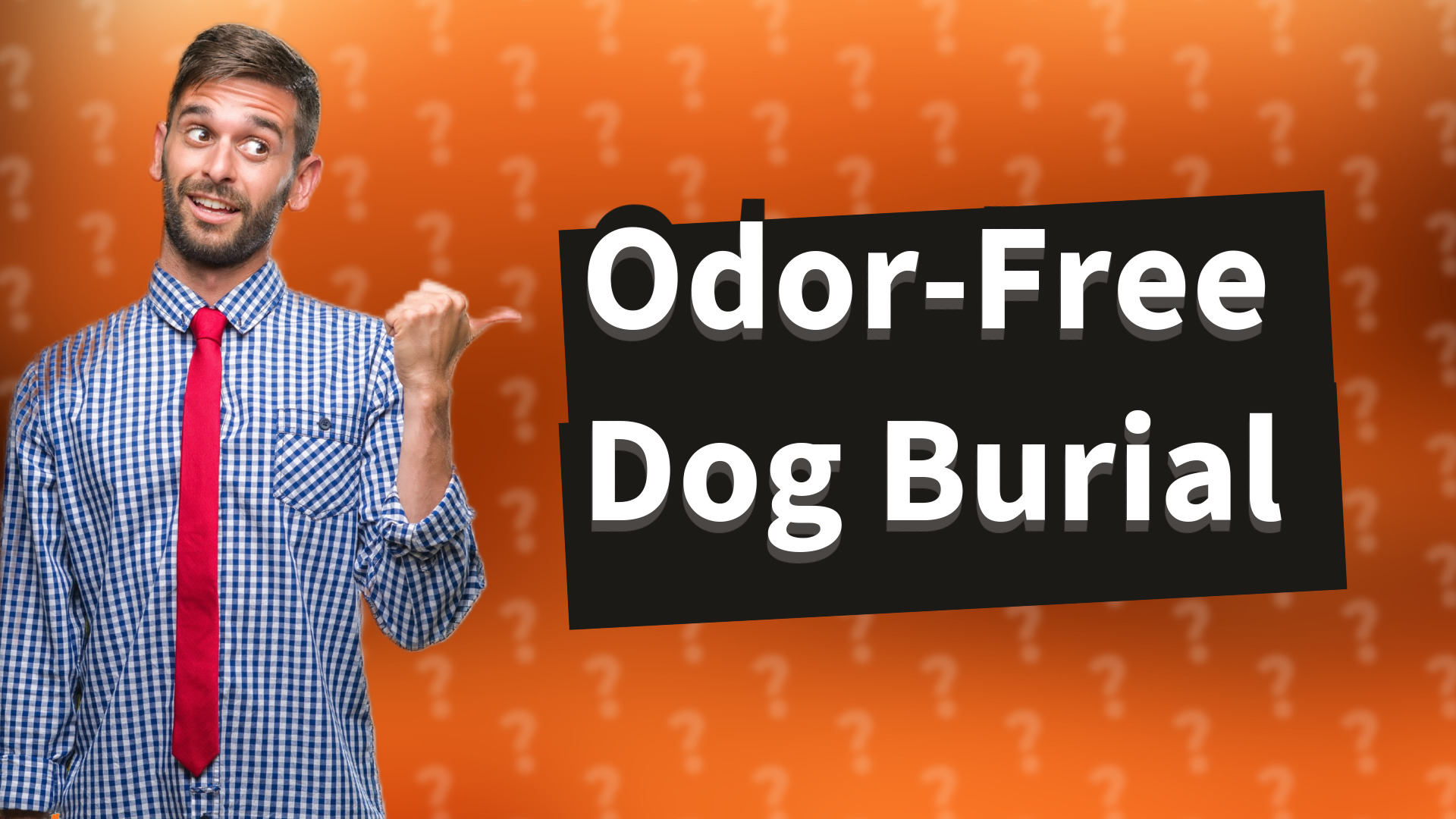 Odor-Free Dog Burial