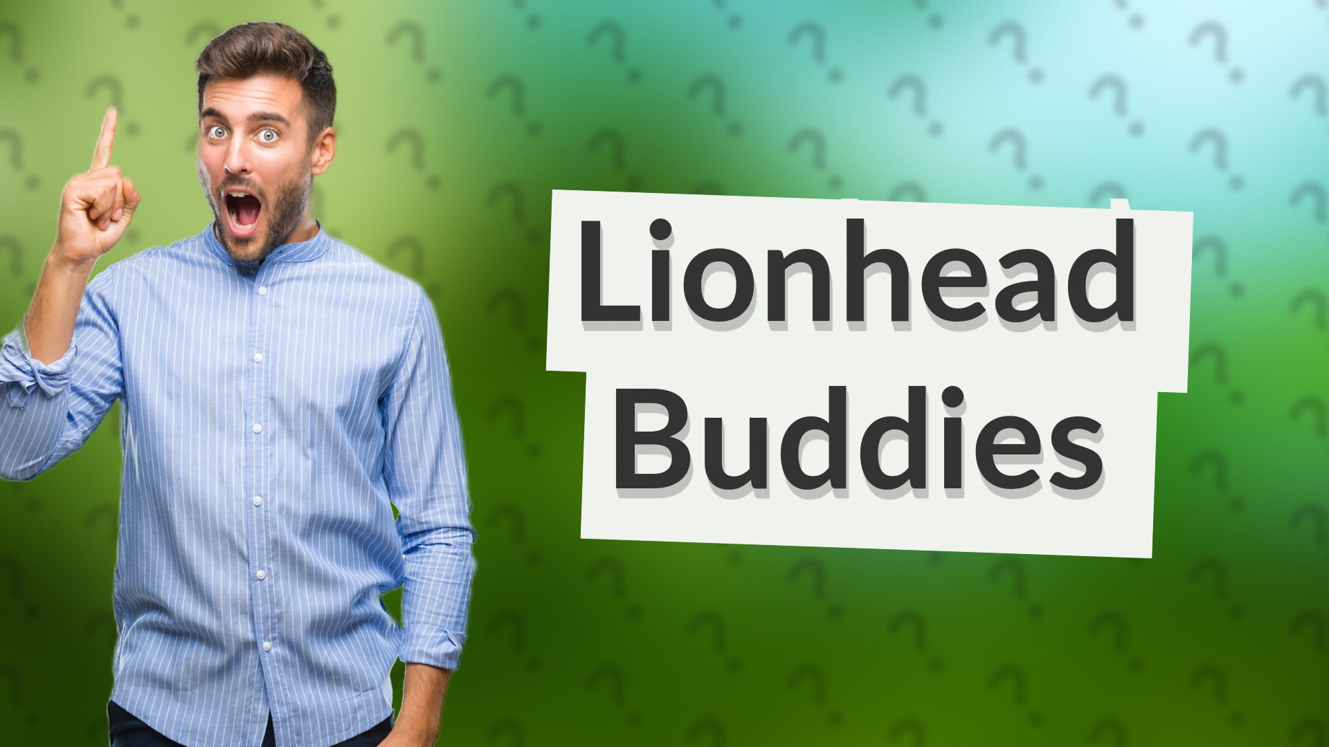 Lionhead Buddies