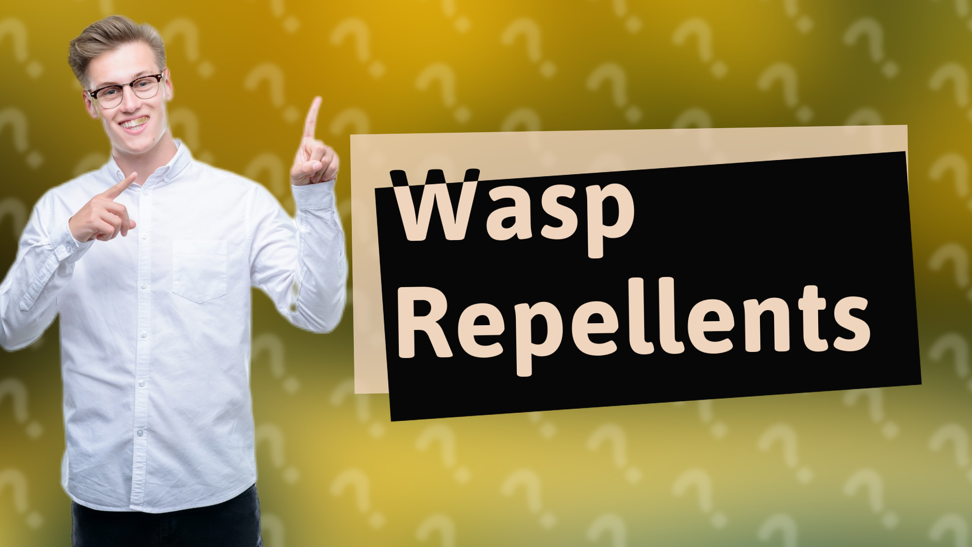 Wasp Repellents
