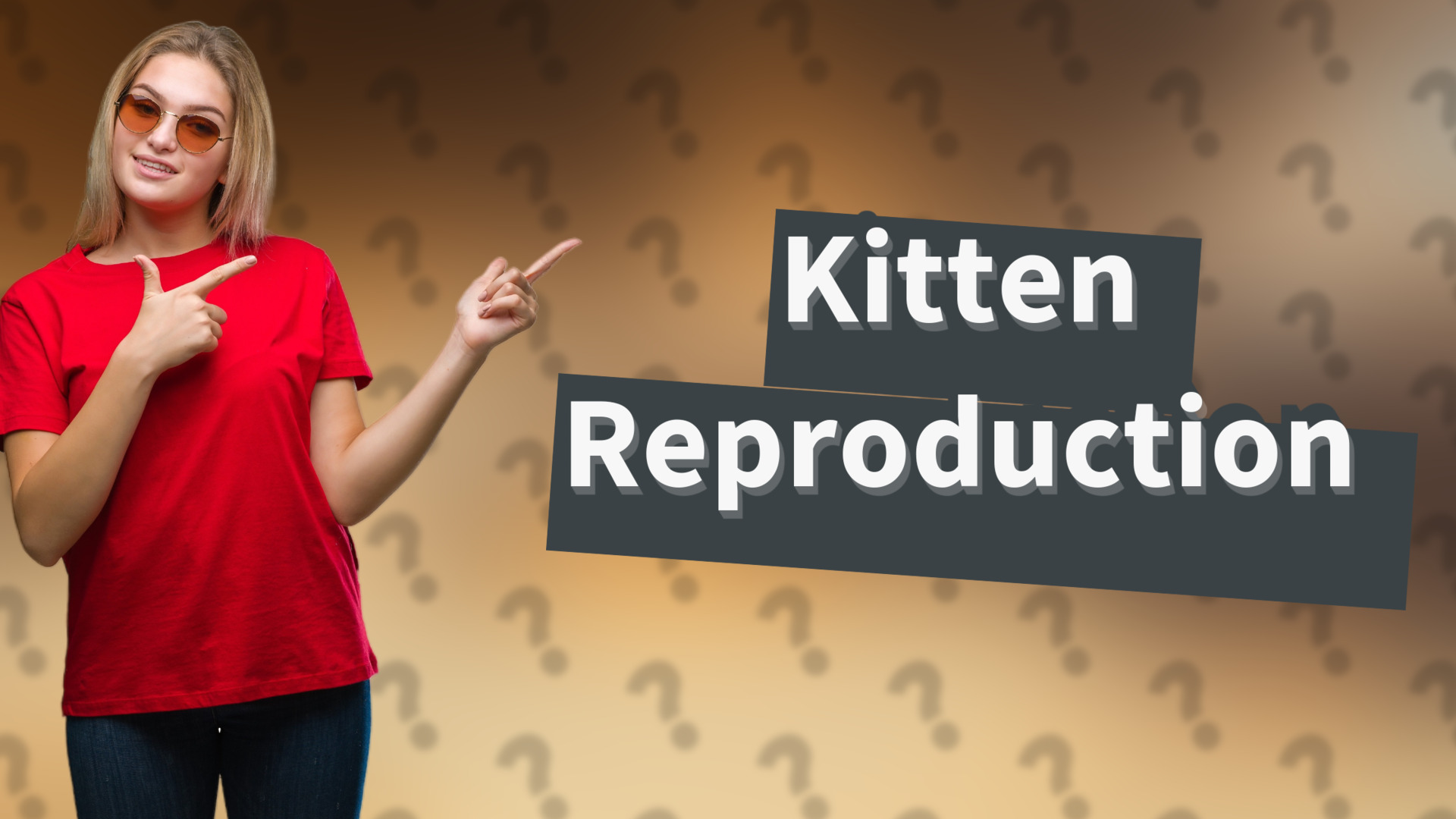 Kitten Reproduction