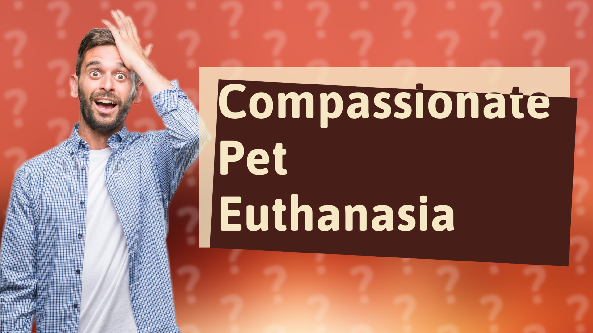 Compassionate Pet Euthanasia