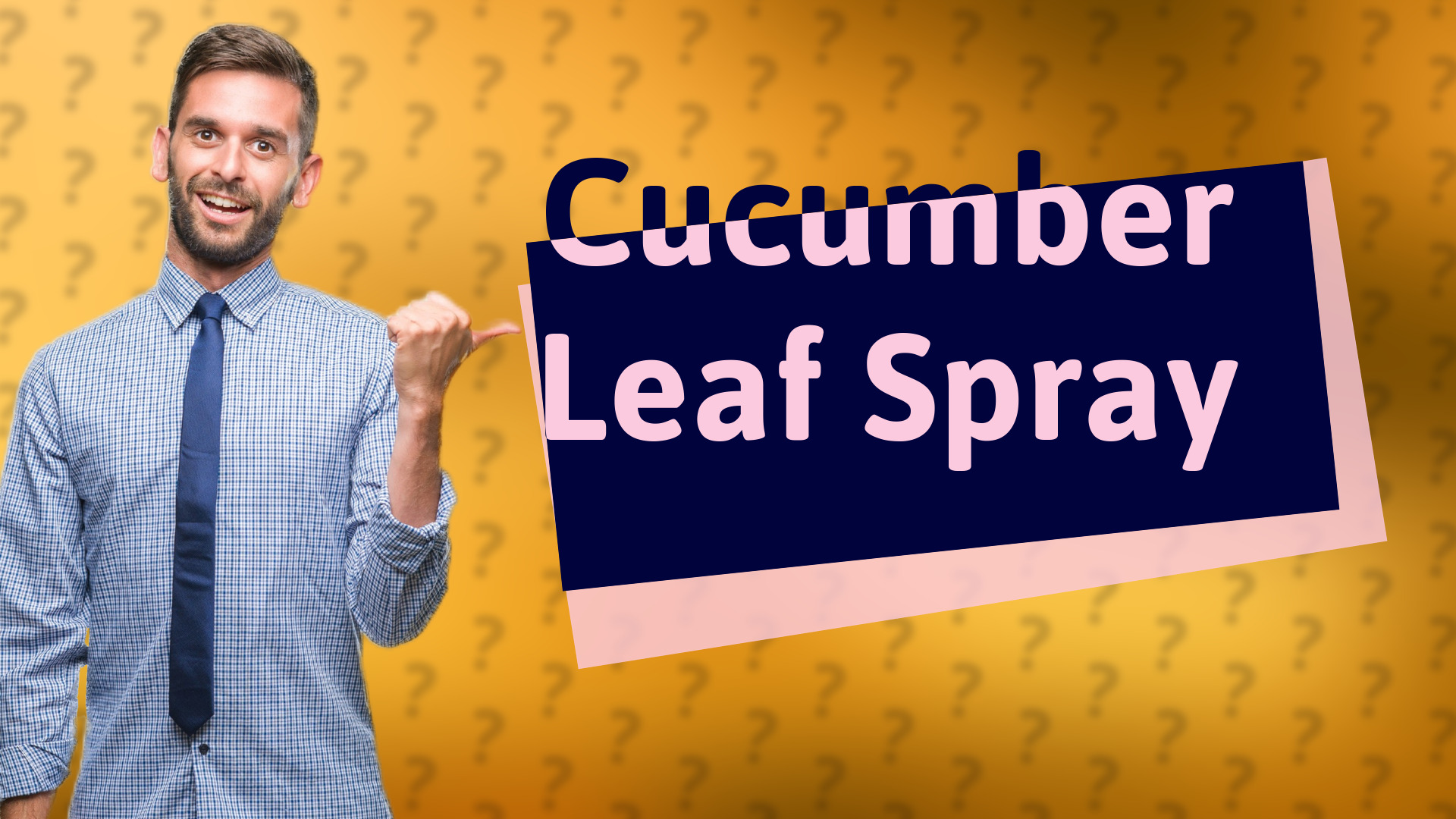 Cucumber Leaf Spray