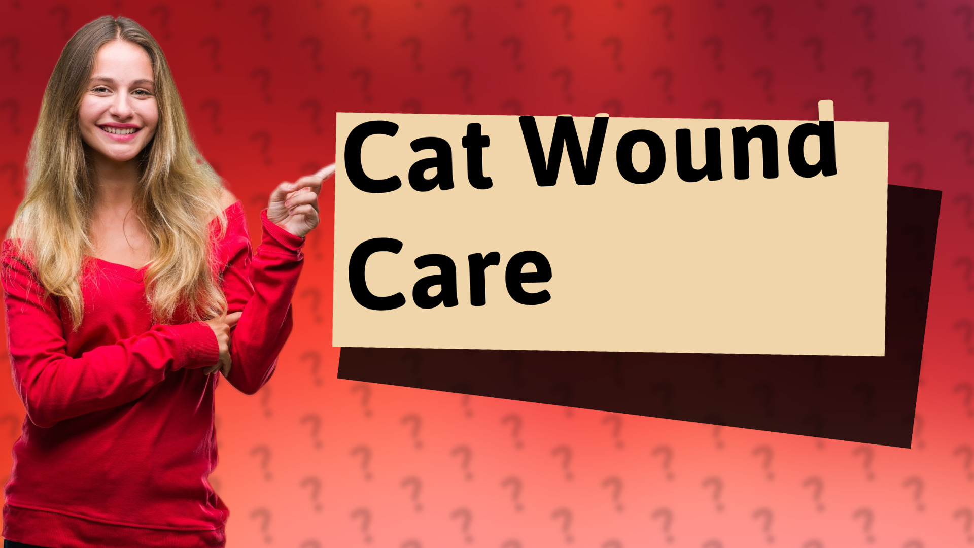 Cat Wound Care