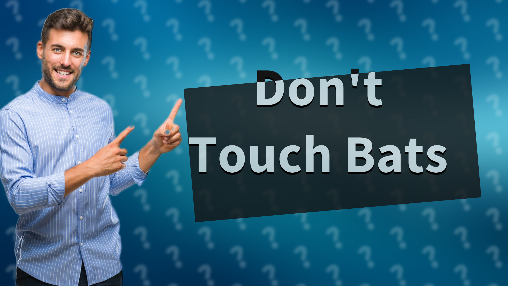 Don't Touch Bats