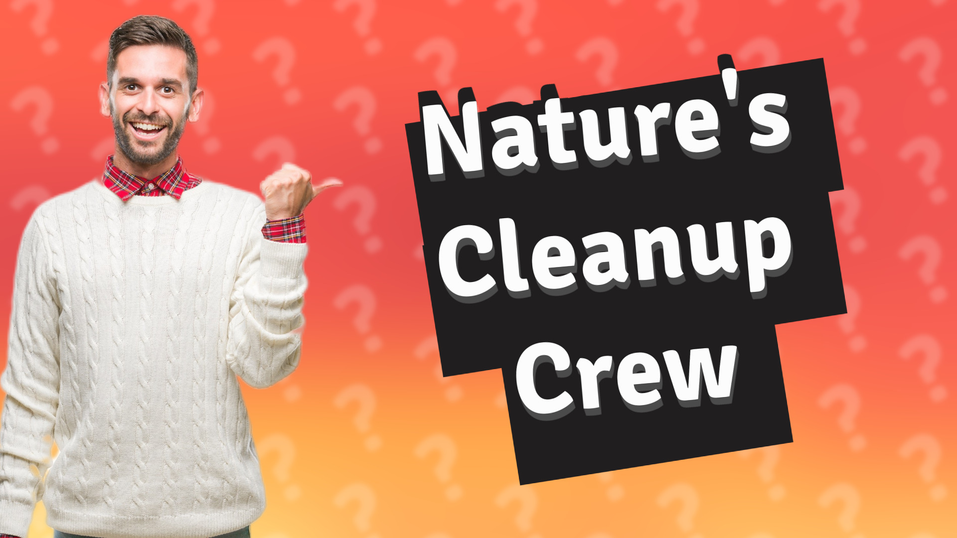 Nature's Cleanup Crew