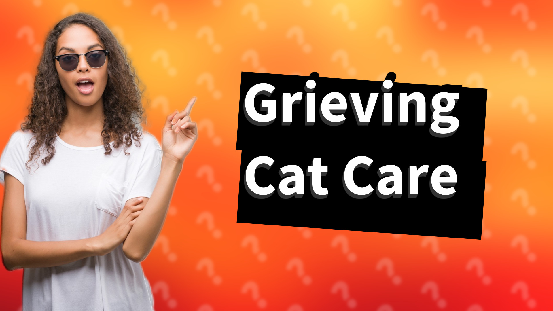 Grieving Cat Care