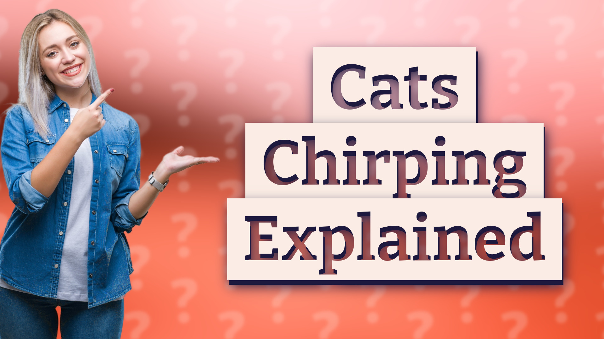 Cats Chirping Explained