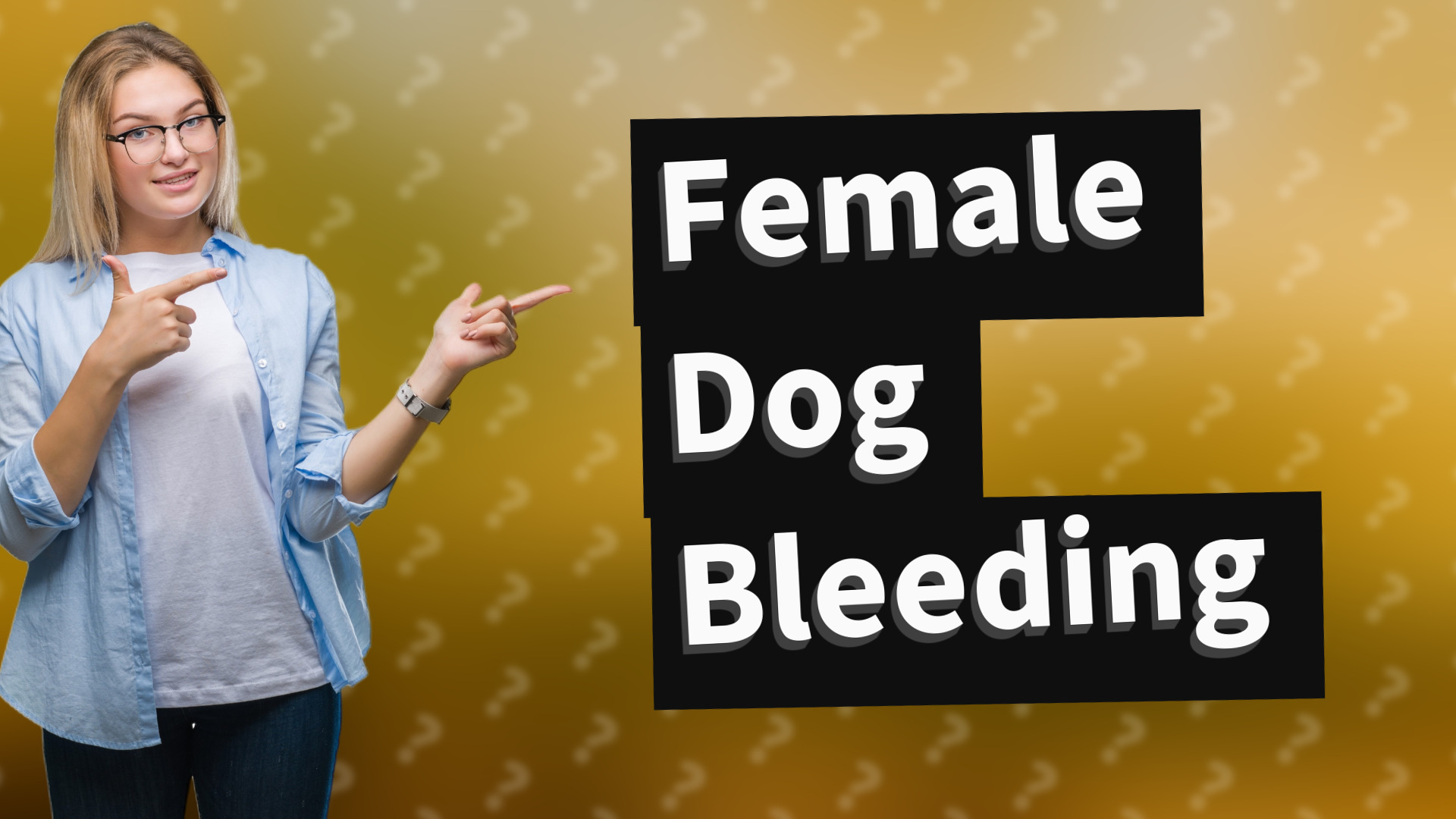 Female Dog Bleeding
