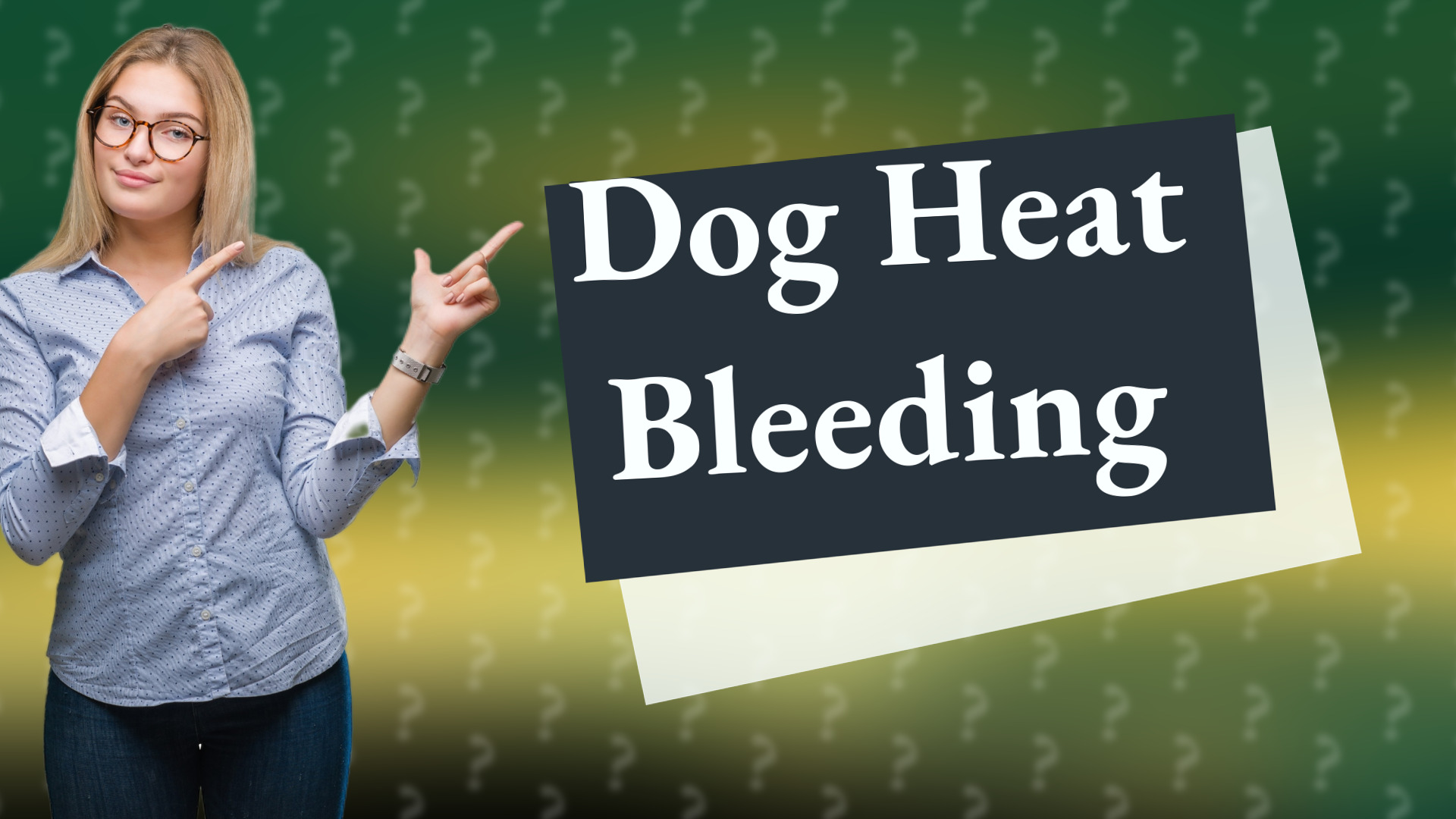 Dog Heat Bleeding