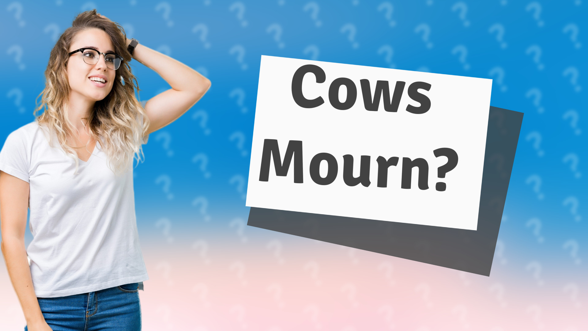 Cows Mourn?