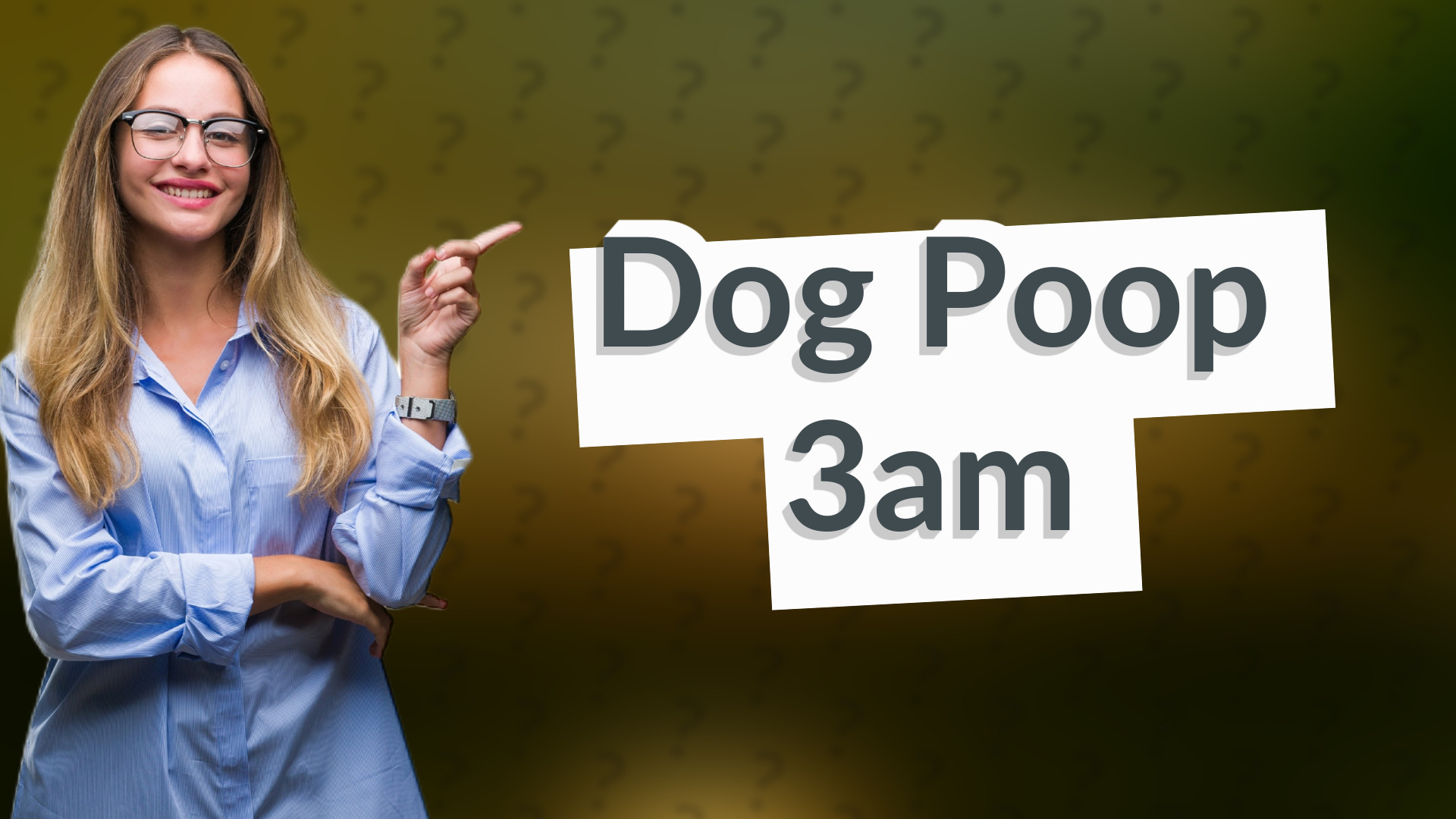 Dog Poop 3am