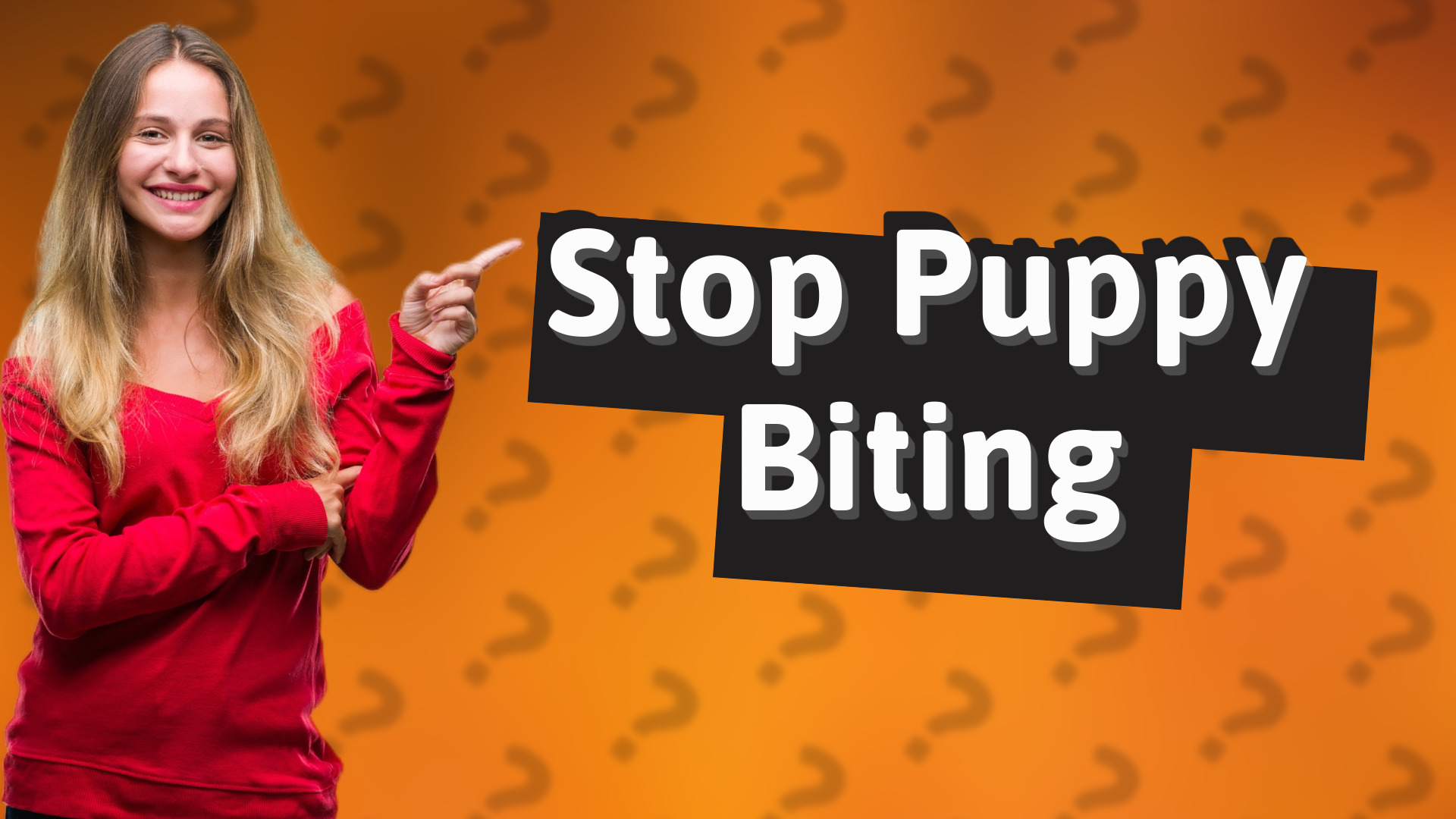 Stop Puppy Biting