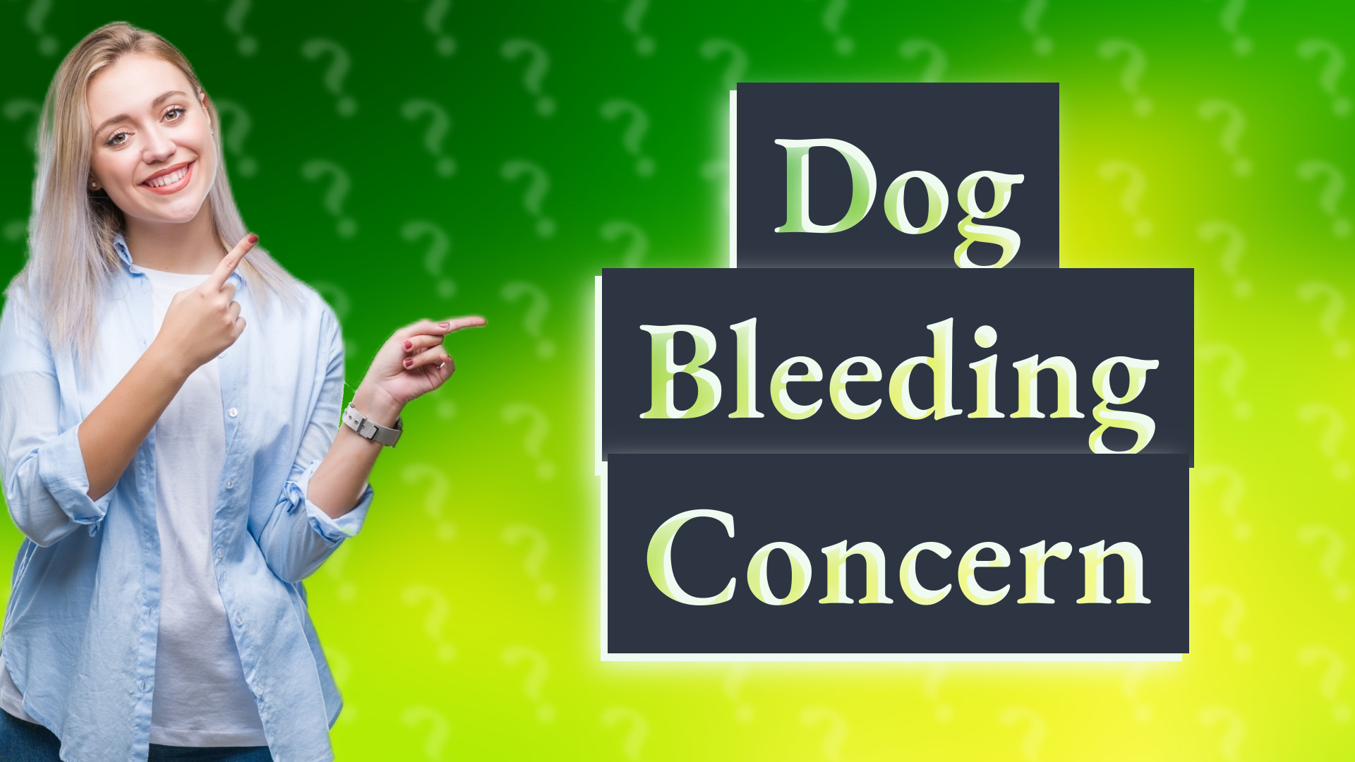 Dog Bleeding Concern