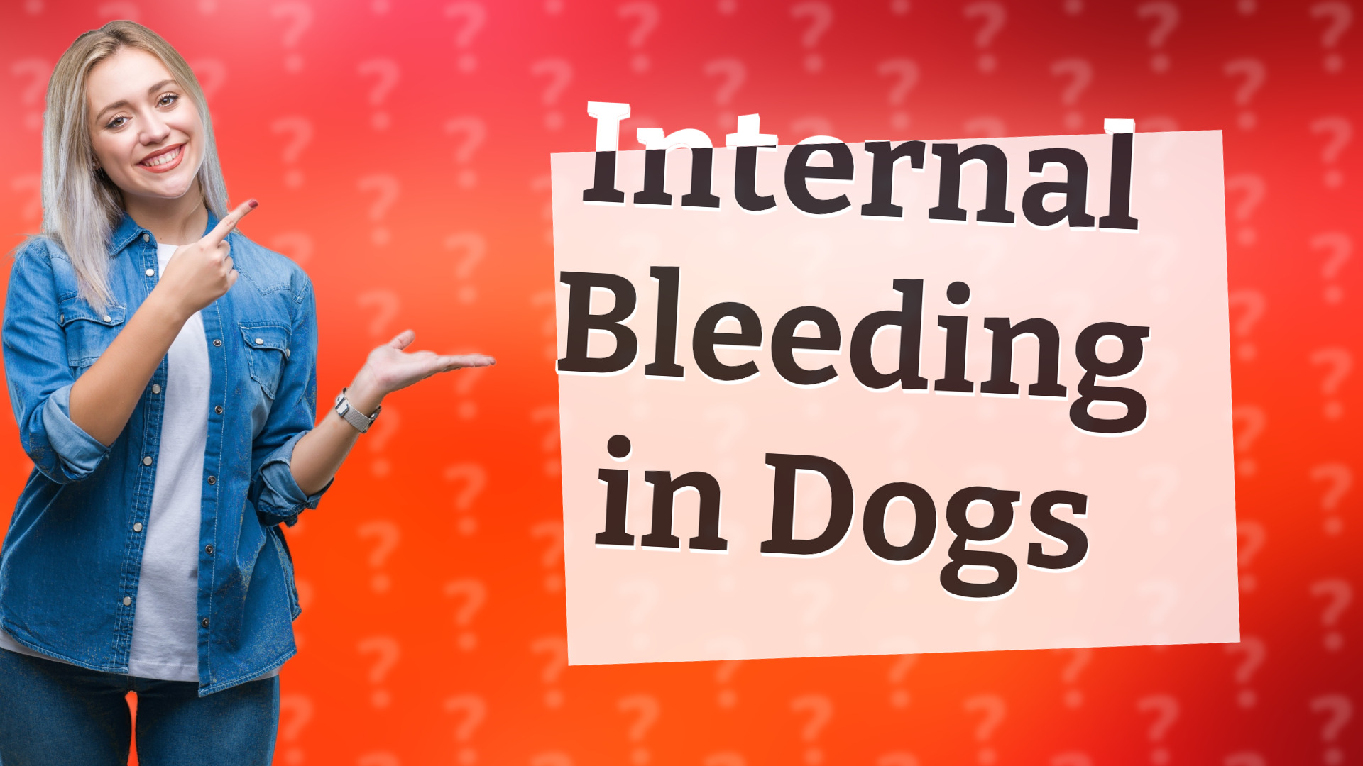 Internal Bleeding in Dogs