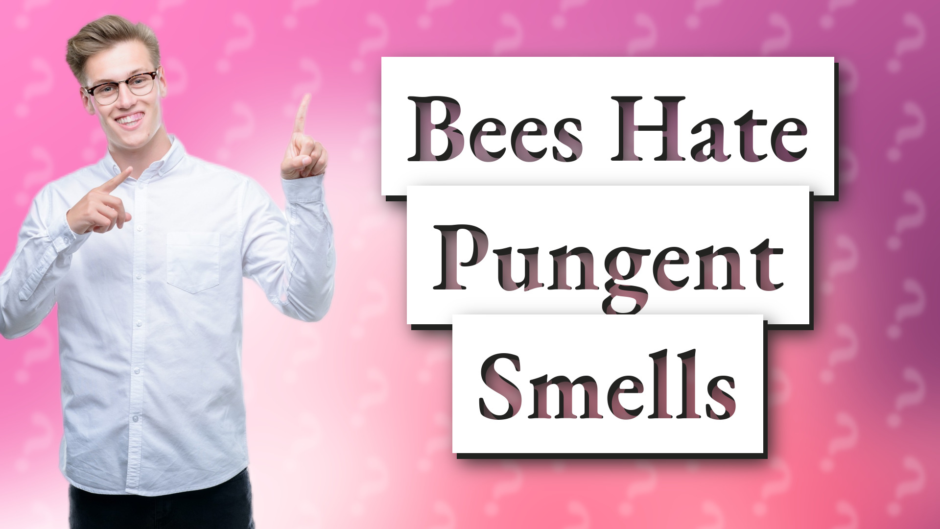 Bees Hate Pungent Smells