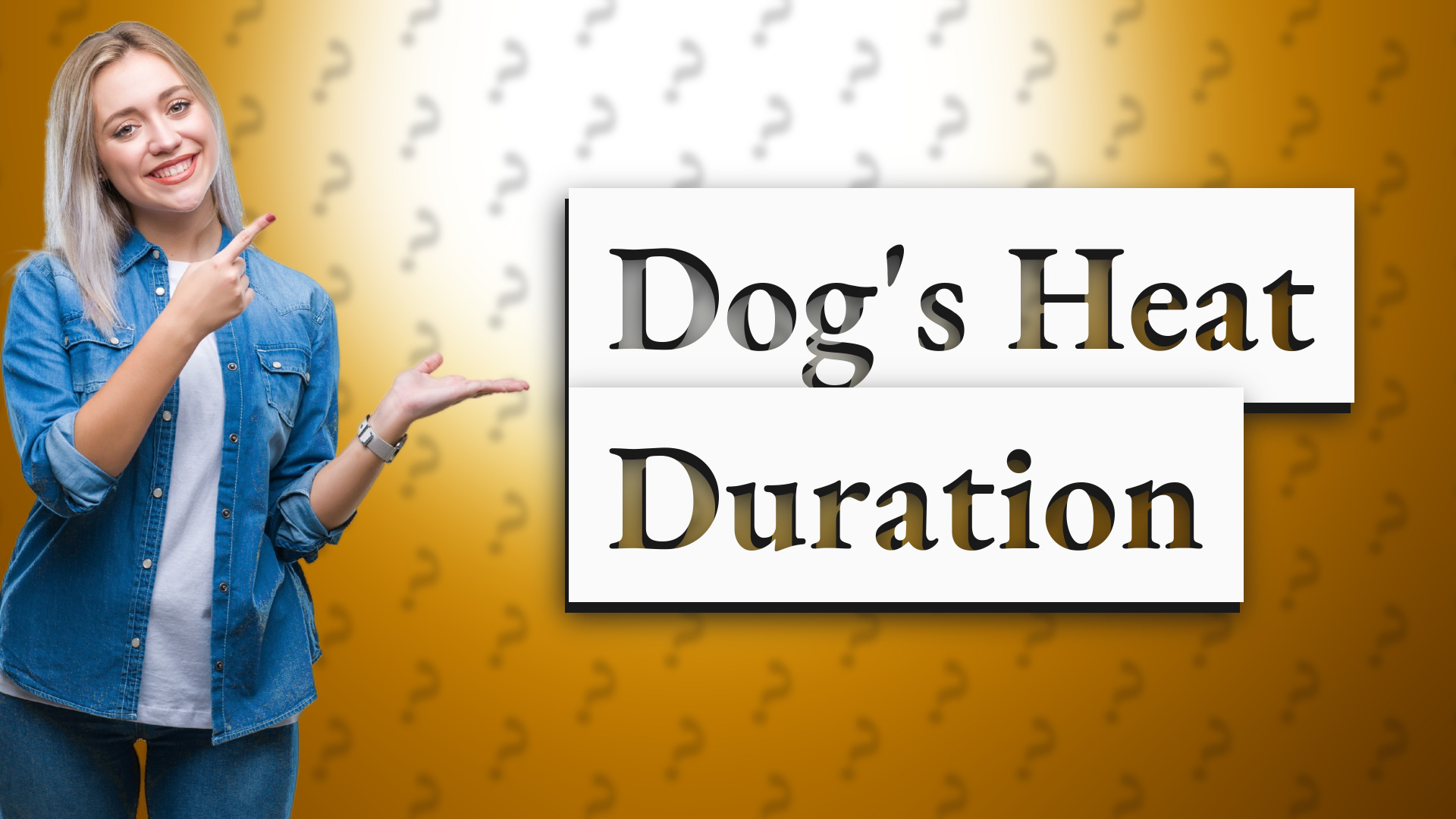 Dog's Heat Duration