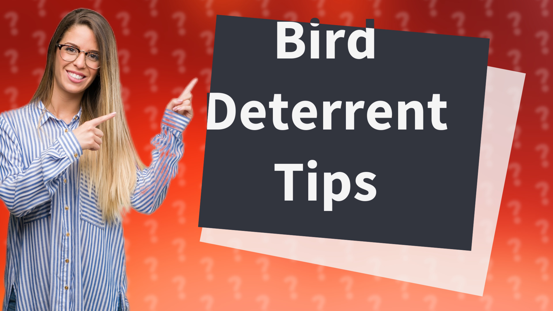 Bird Deterrent Tips