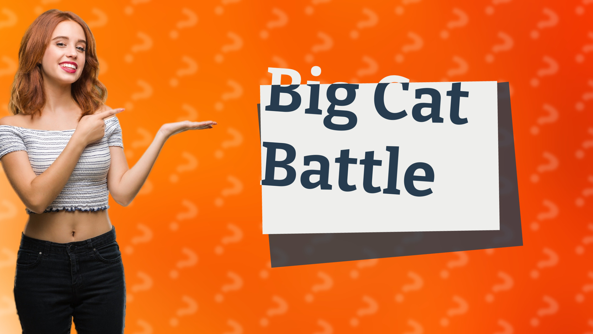 Big Cat Battle