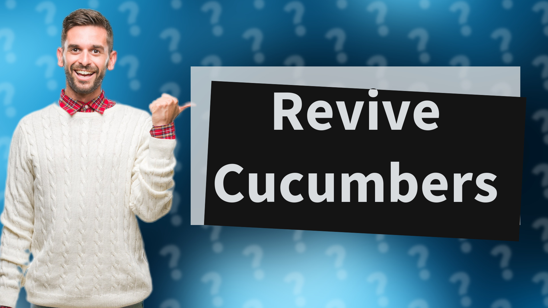Revive Cucumbers
