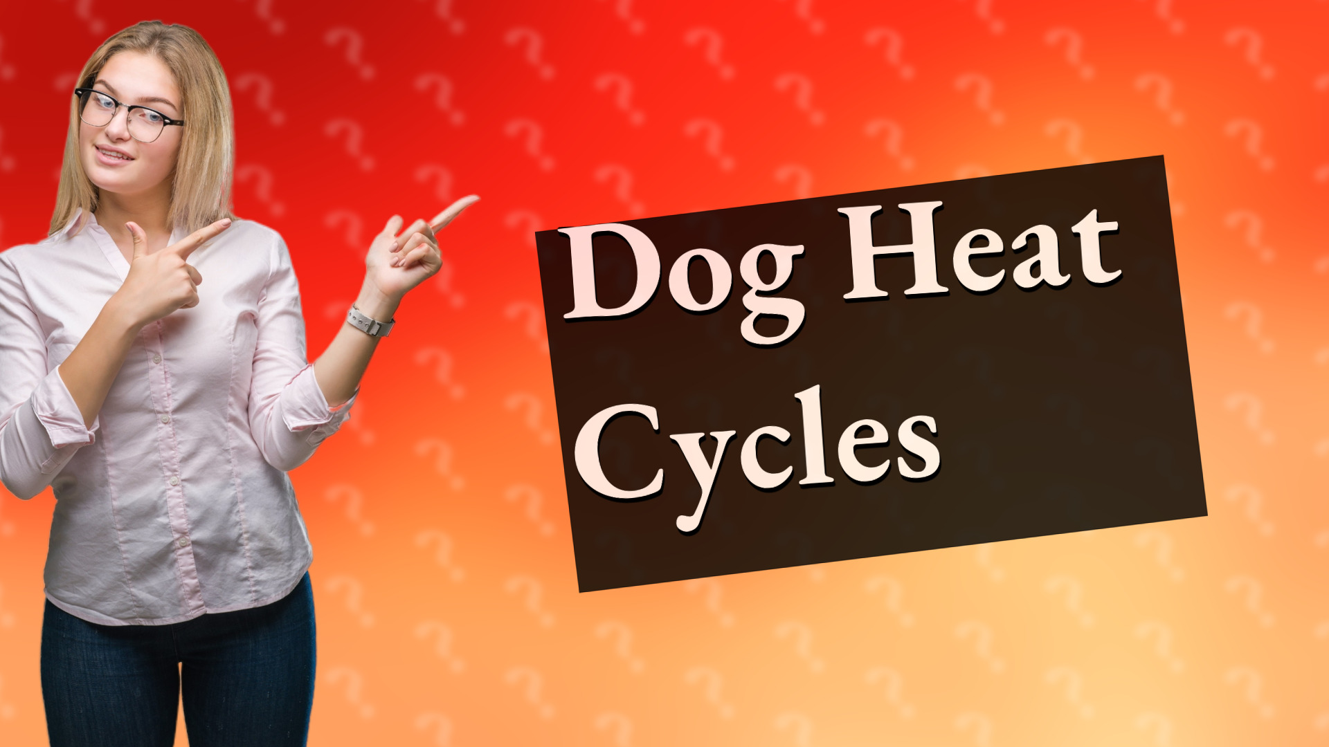 Dog Heat Cycles