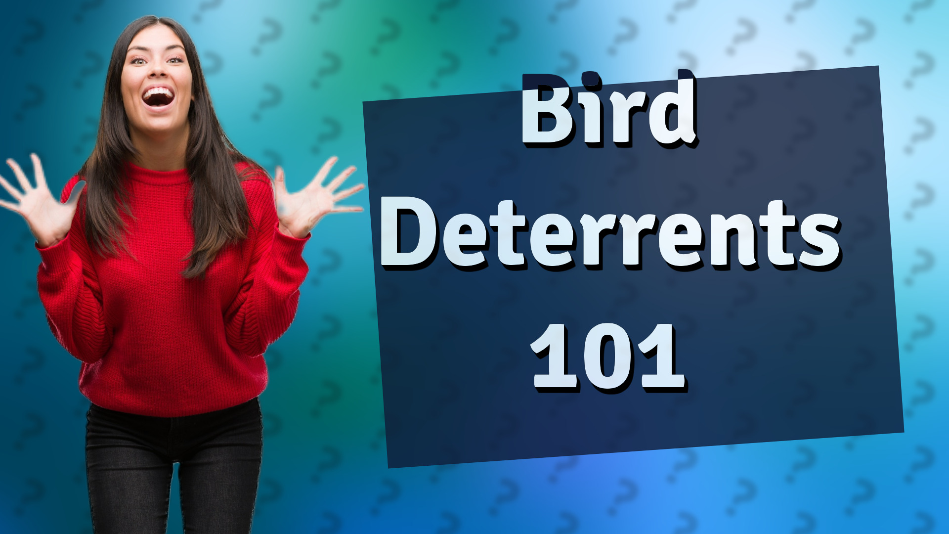 Bird Deterrents 101