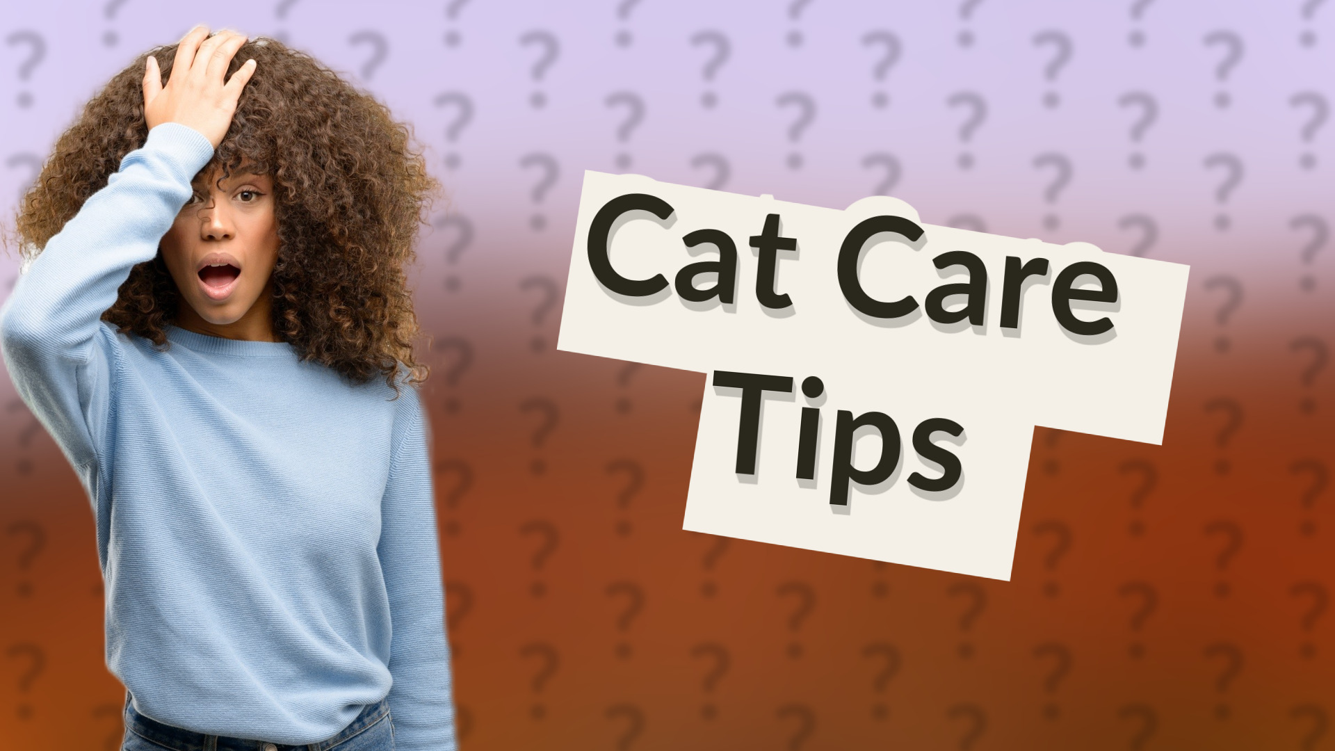 Cat Care Tips