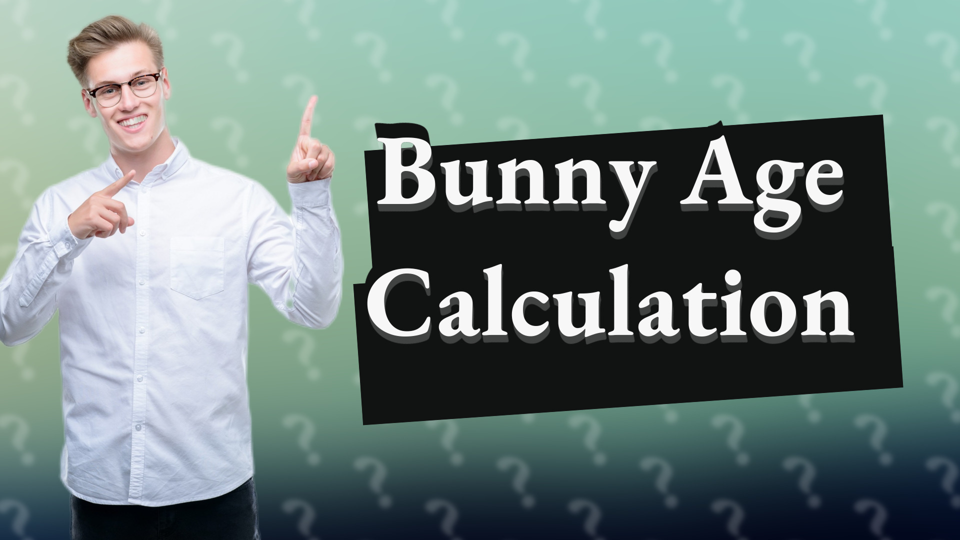Bunny Age Calculation
