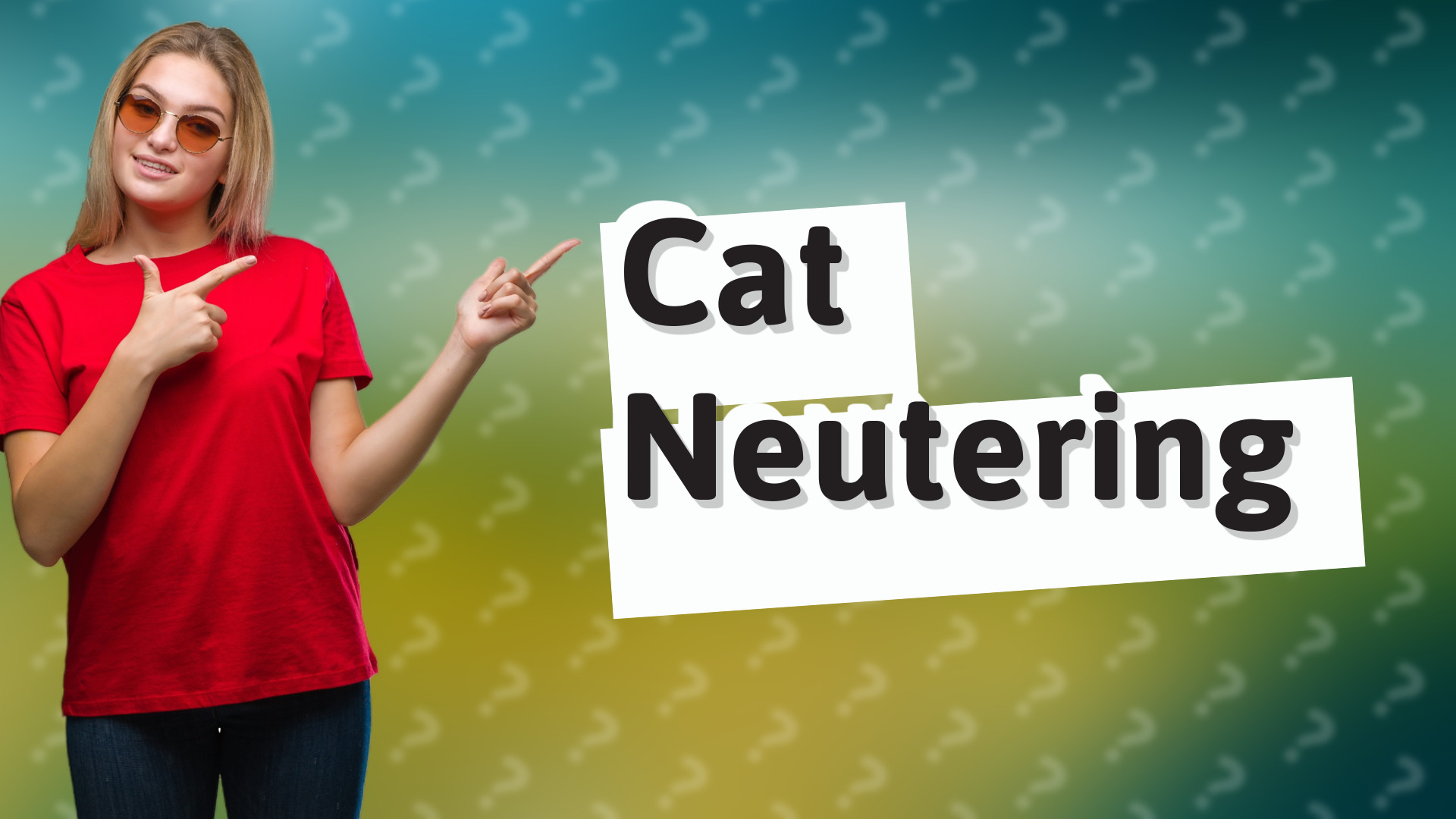 Cat Neutering