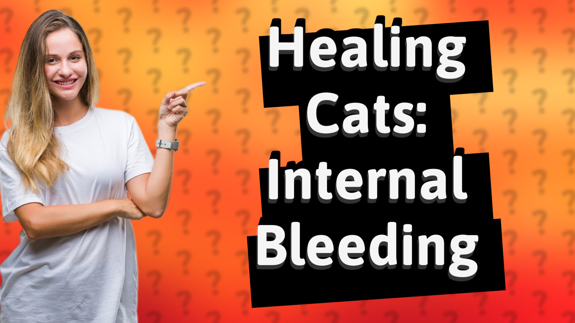 Healing Cats: Internal Bleeding