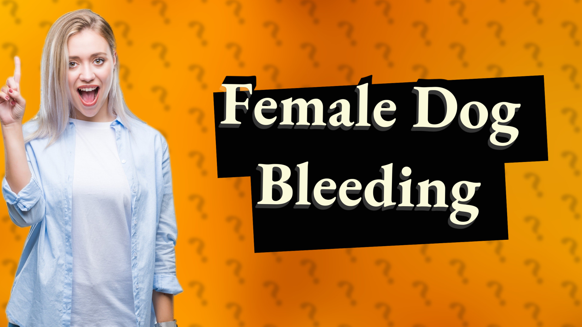Female Dog Bleeding