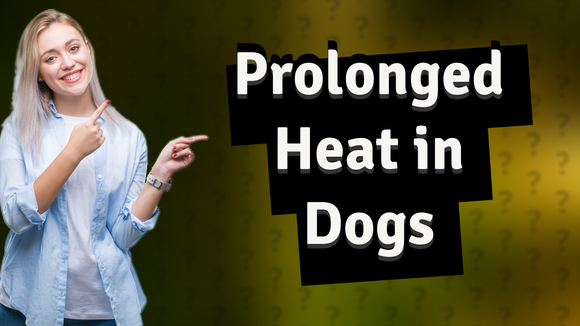 Prolonged Heat in Dogs