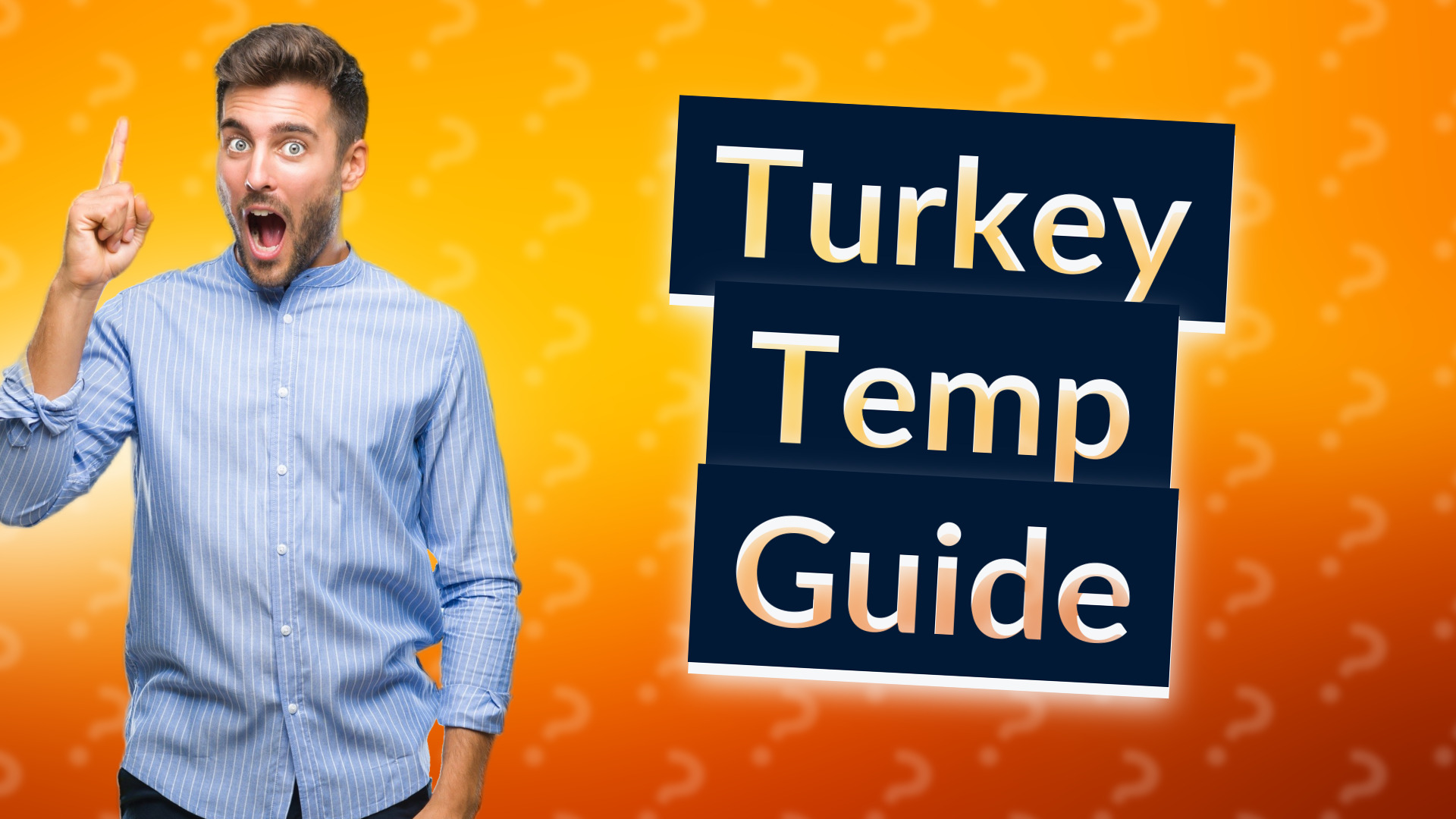 Turkey Temp Guide