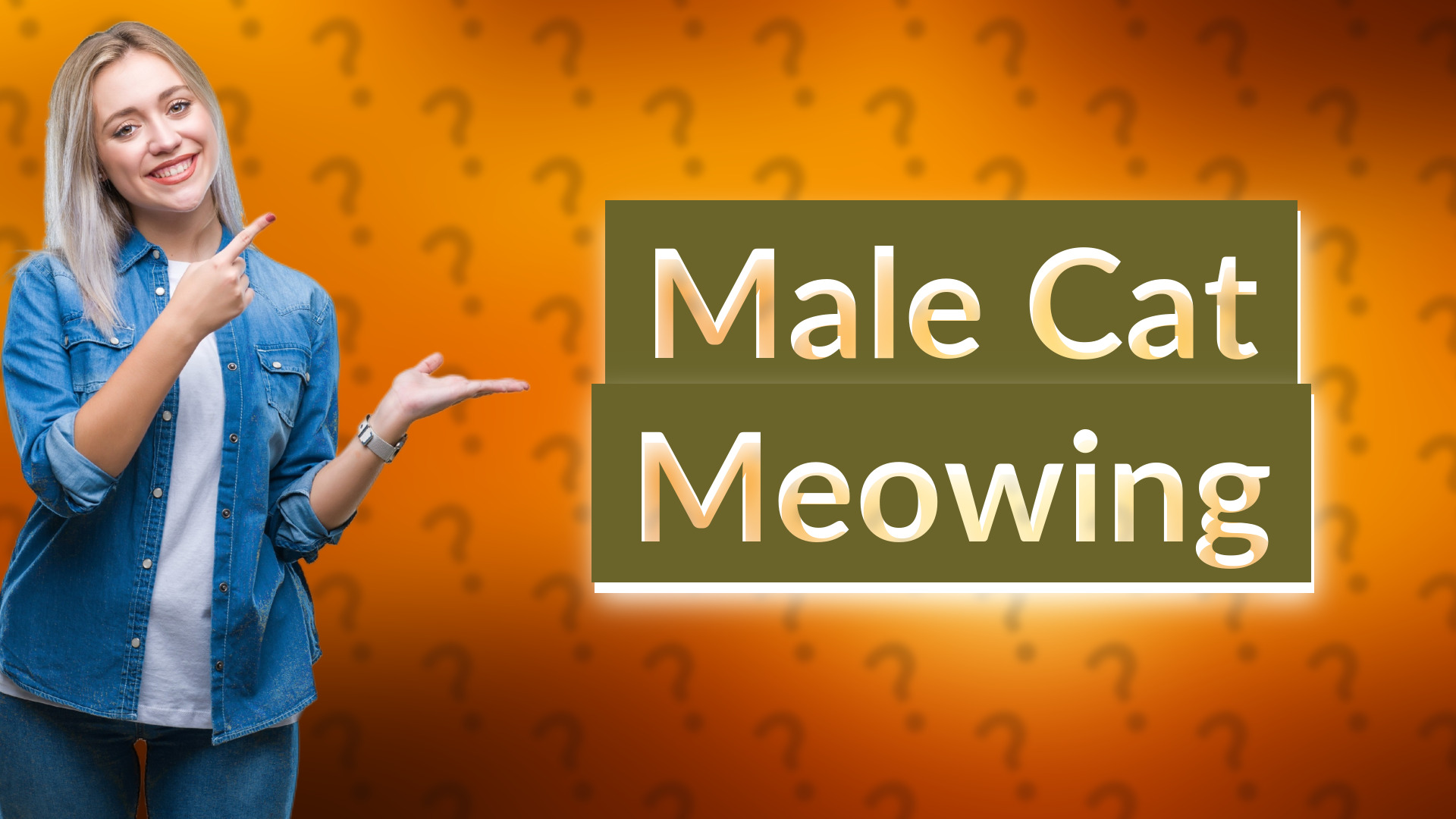Male Cat Meowing