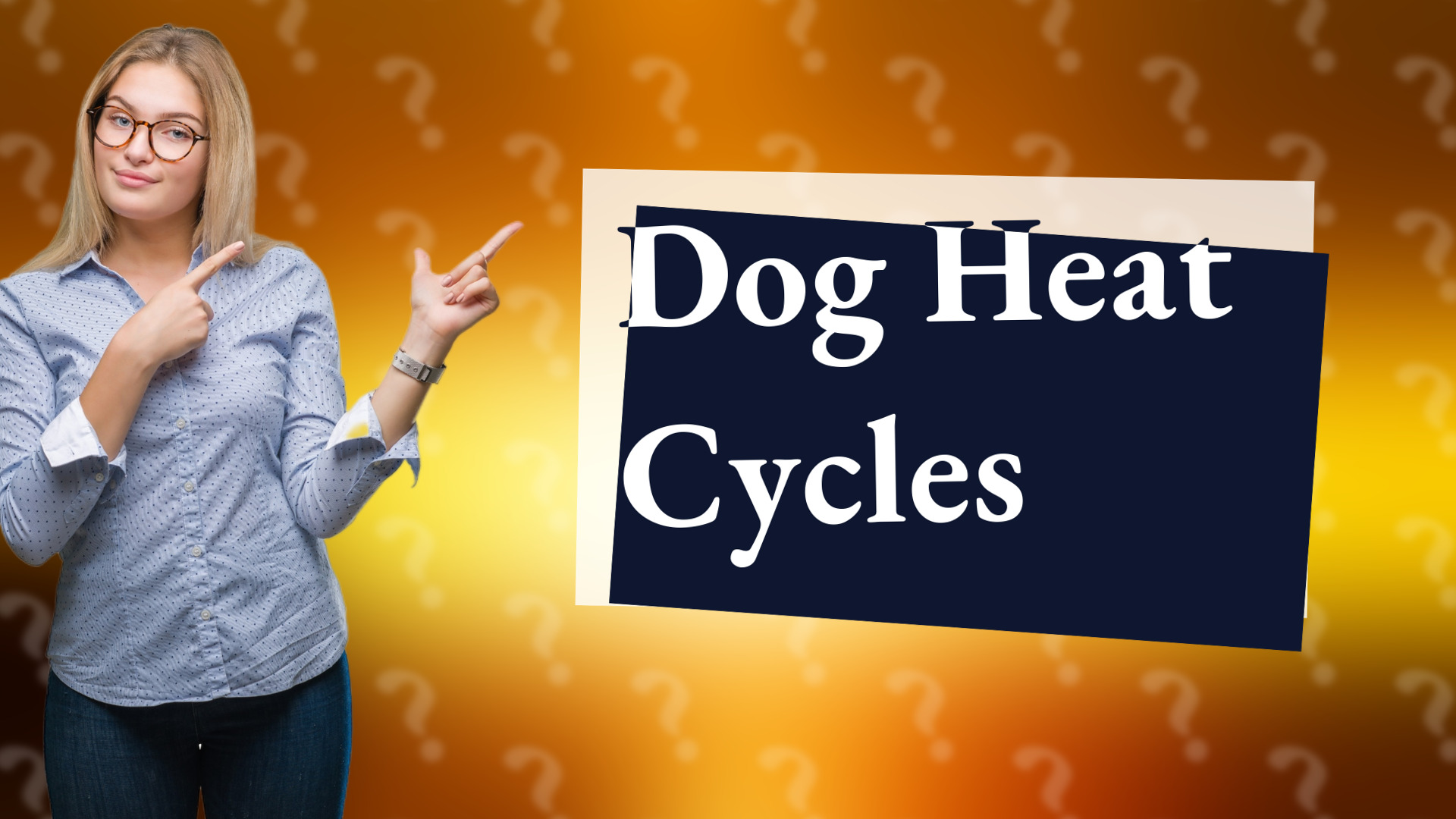Dog Heat Cycles