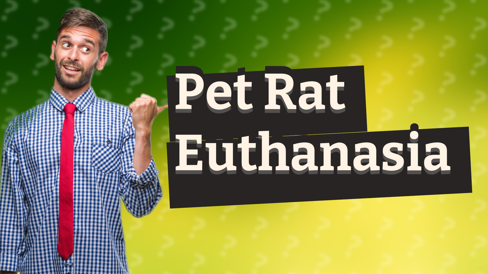 Pet Rat Euthanasia