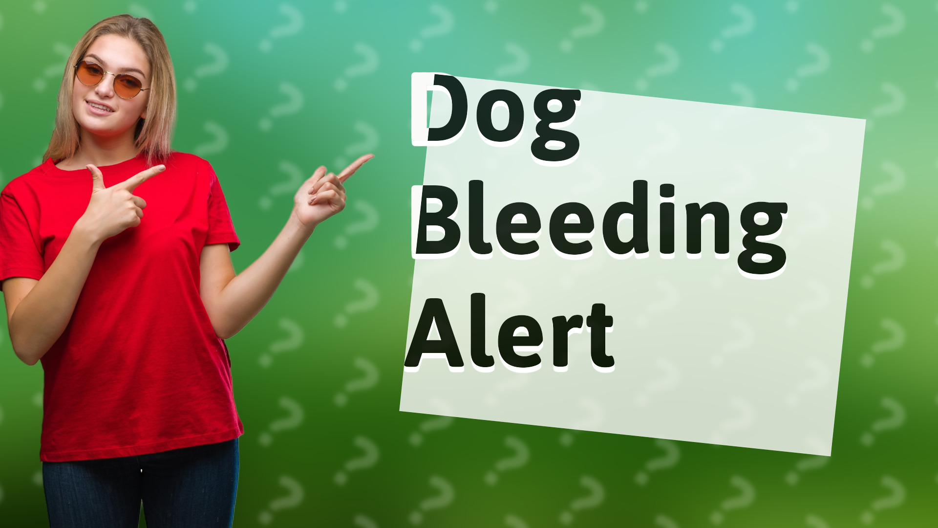 Dog Bleeding Alert