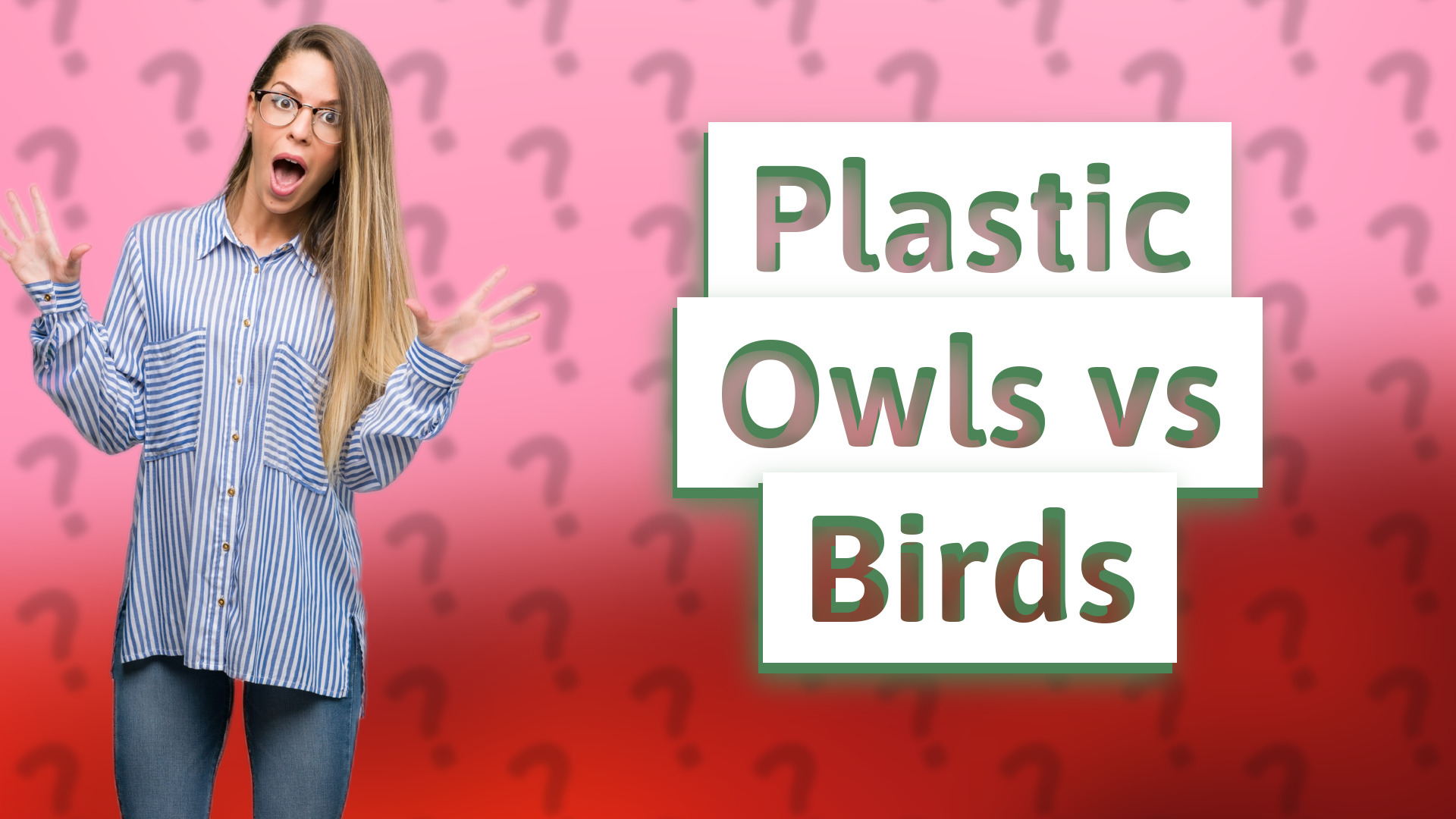 Plastic Owls vs Birds