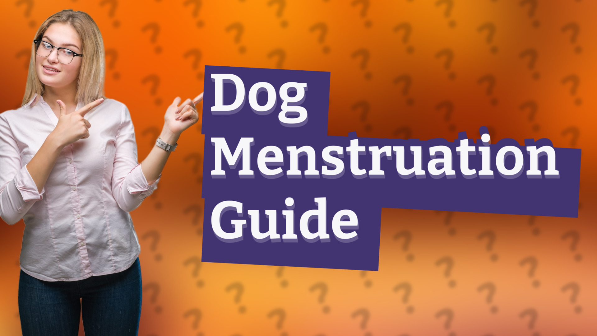 Dog Menstruation Guide