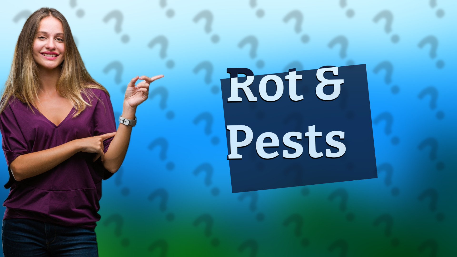 Rot & Pests