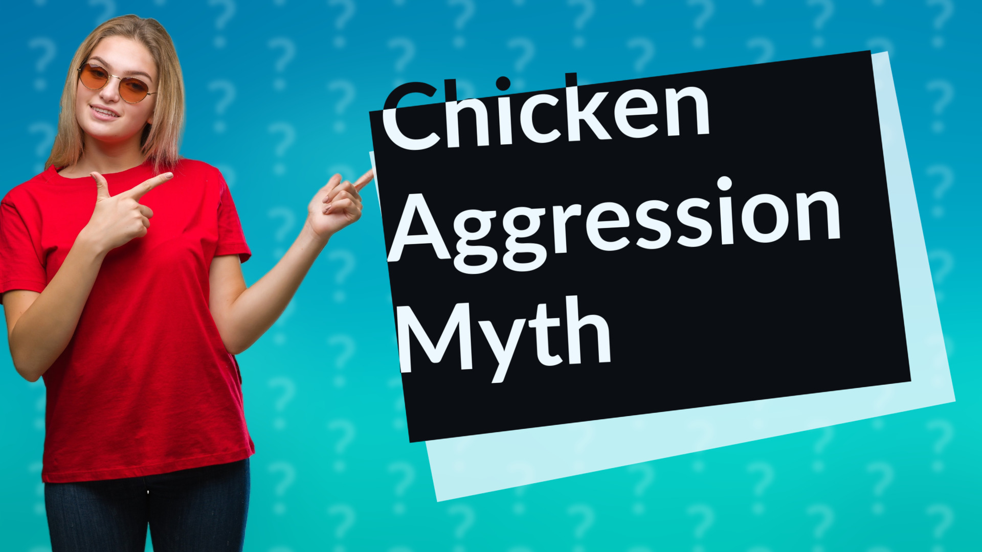 Chicken Aggression Myth