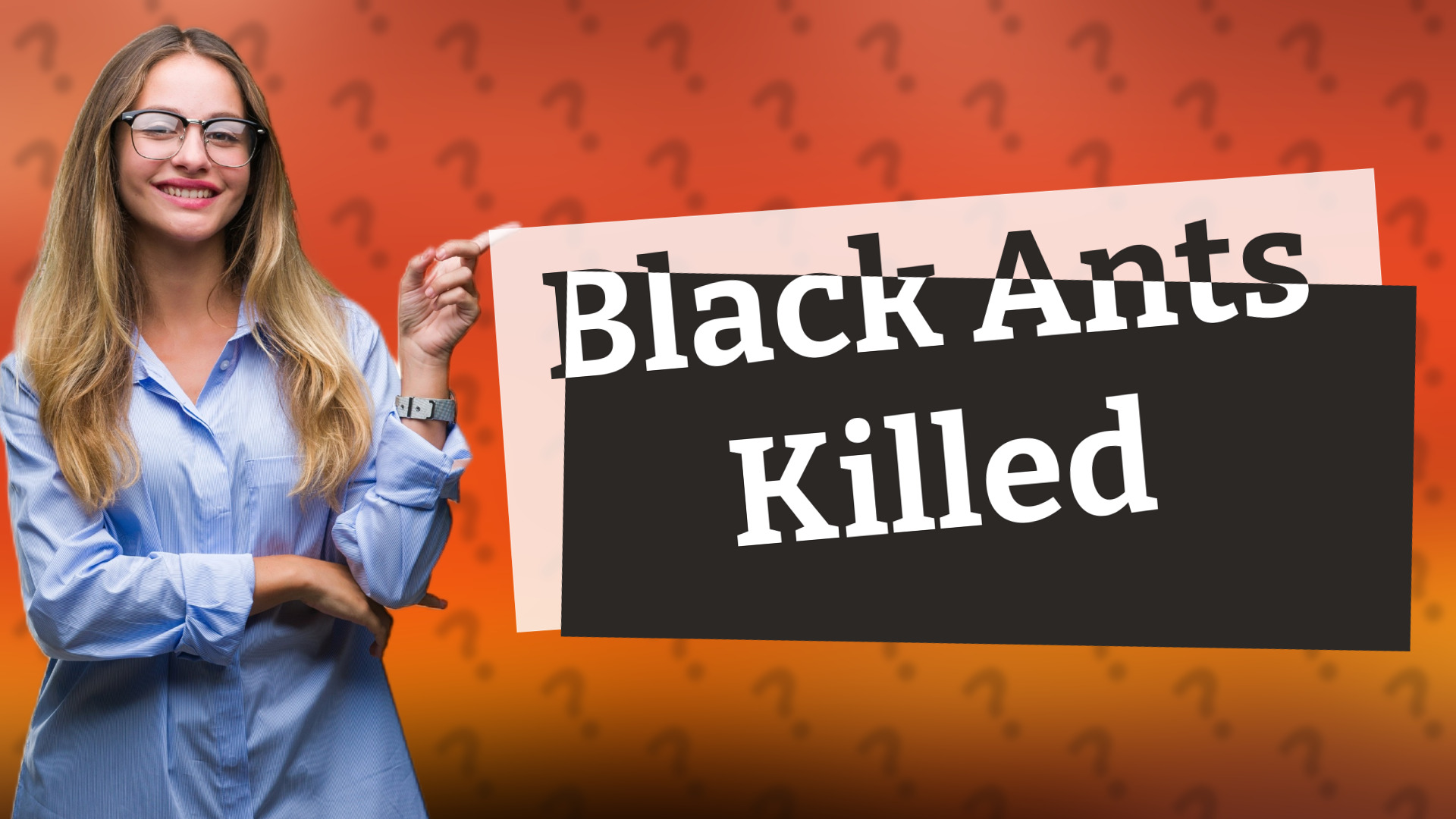 Black Ants Killed